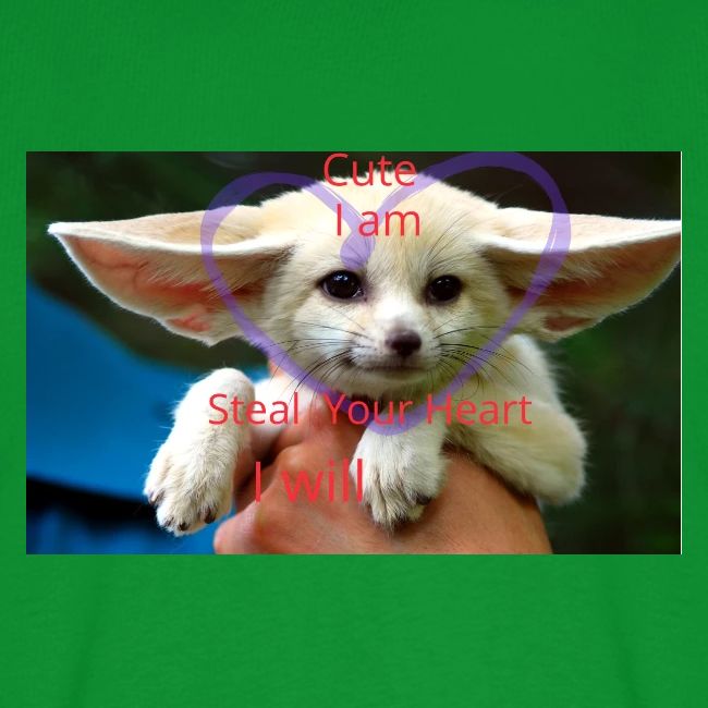 baby fox
