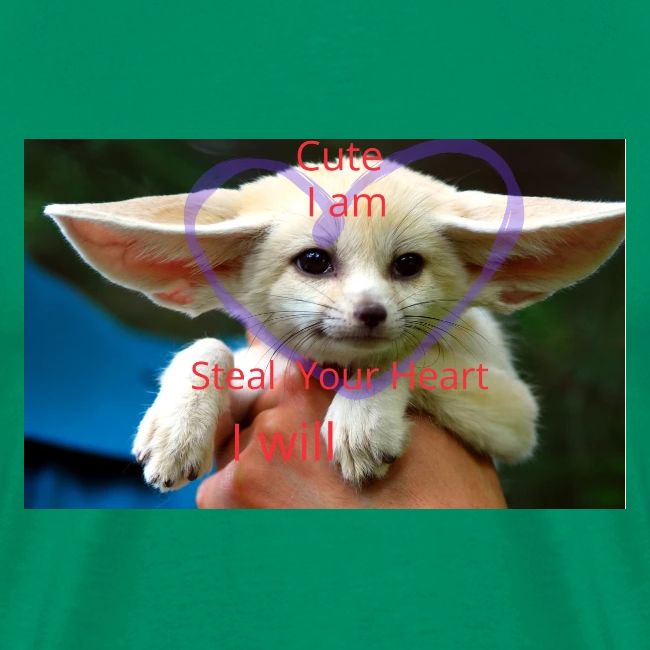 baby fox