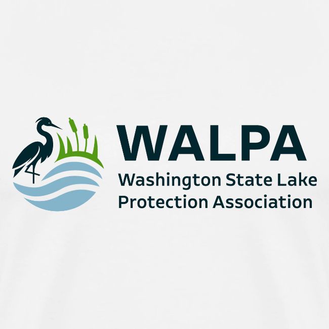 WALPA 1 Full Color 1