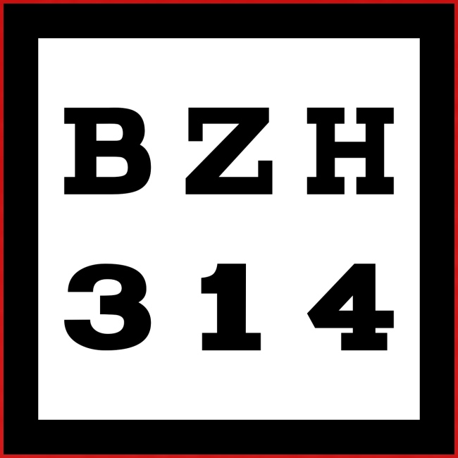 BZH314 Games Small Logo