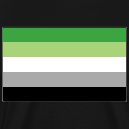 Aromantic Pride Flag - Men's Premium T-Shirt
