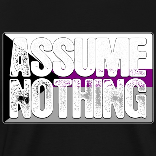 Assume Nothing Demisexual Pride Flag - Men's Premium T-Shirt