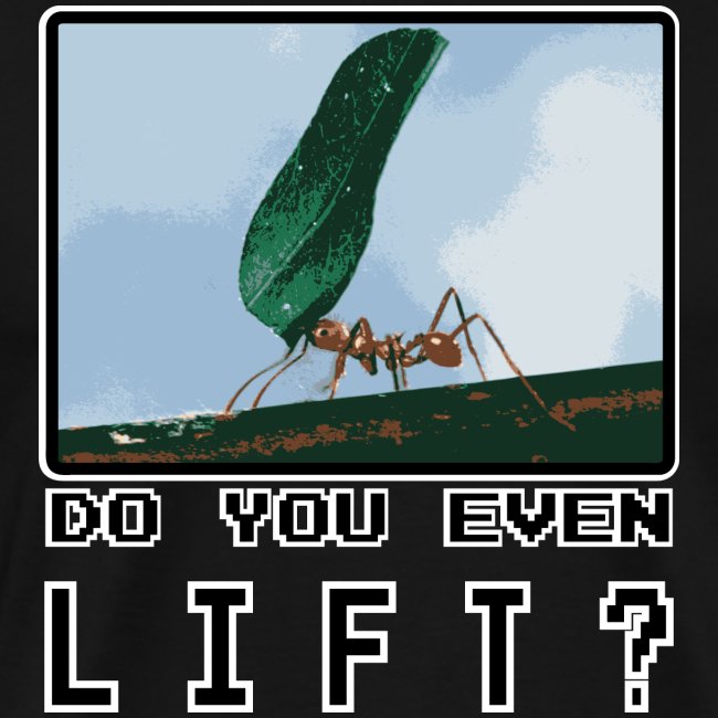 Do you even LIFT? Pretend we're all Ants