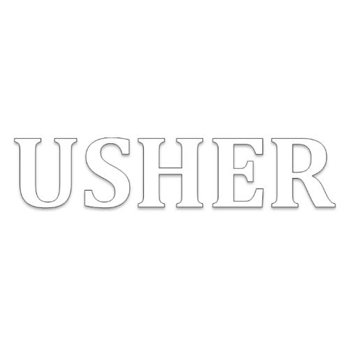 USHER SWAG - Men's Premium T-Shirt