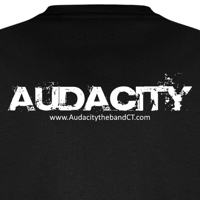 Audacity Crowd Design