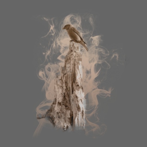 crossbill perching on an old tree flames - Men's Premium T-Shirt