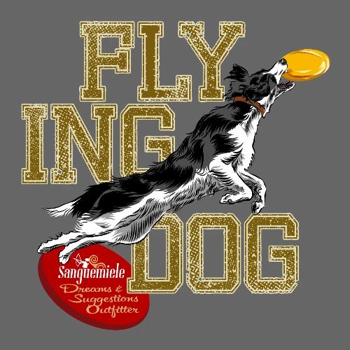 border collie disc dog - Men's Premium T-Shirt