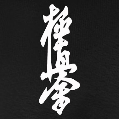 wallpaper kyokushin karate logo
