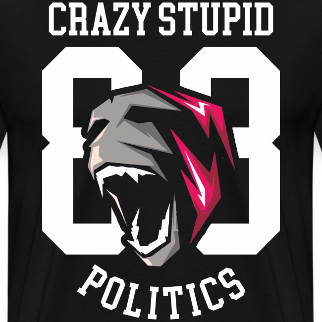 stupid politics