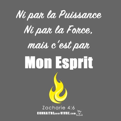 Par Mon Esprit - T-shirt premium pour hommes