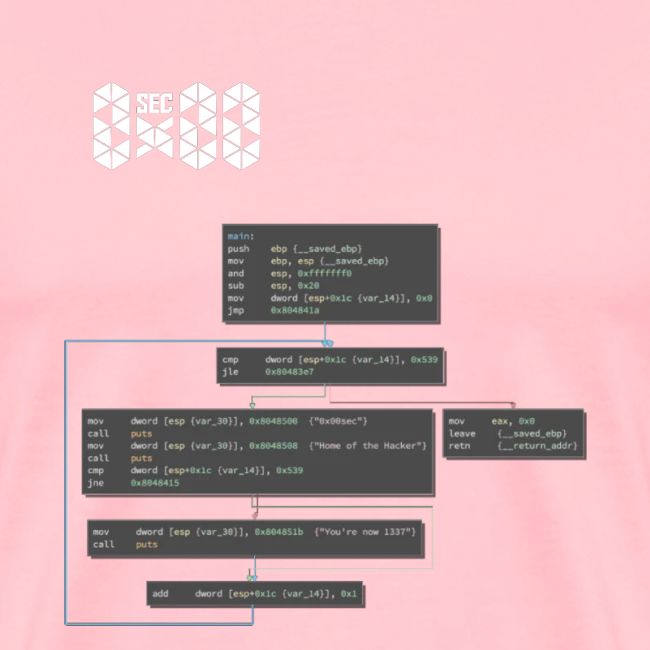 0x00sec Disassembled - Concept Mk1 - WIP