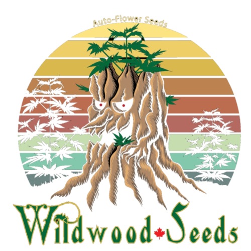 Wildwood Old Tree - Men's Premium T-Shirt