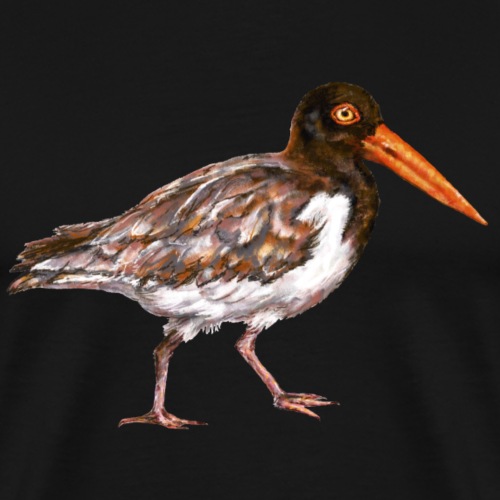Oystercatcher bird - Men's Premium T-Shirt