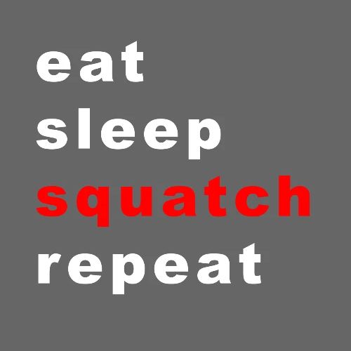 eat sleep squatch repeat - Men's Premium T-Shirt