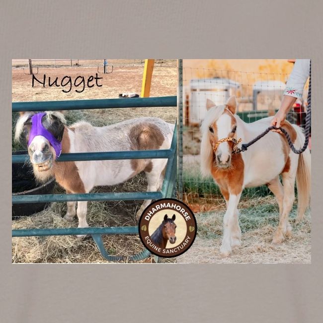 Nugget