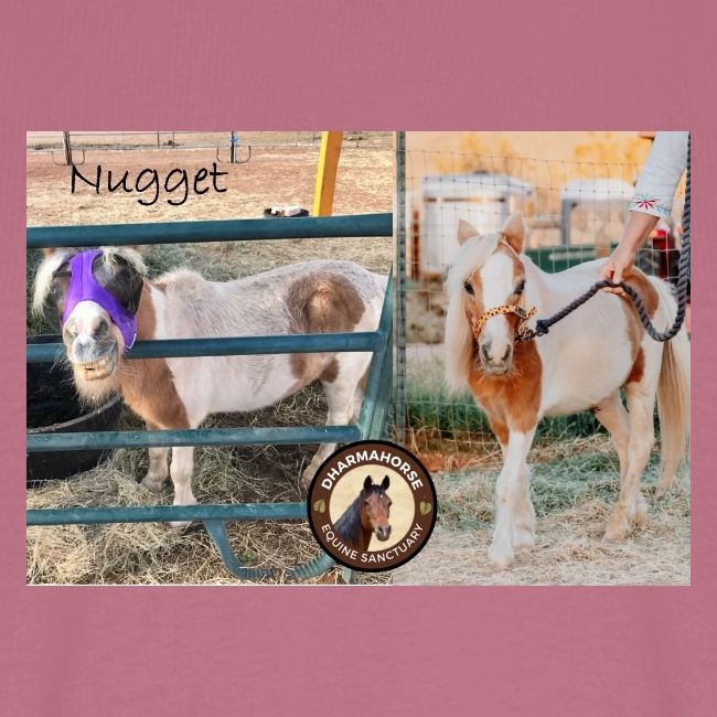 Nugget