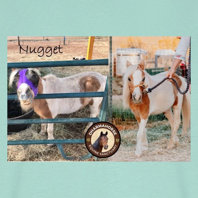 Nugget
