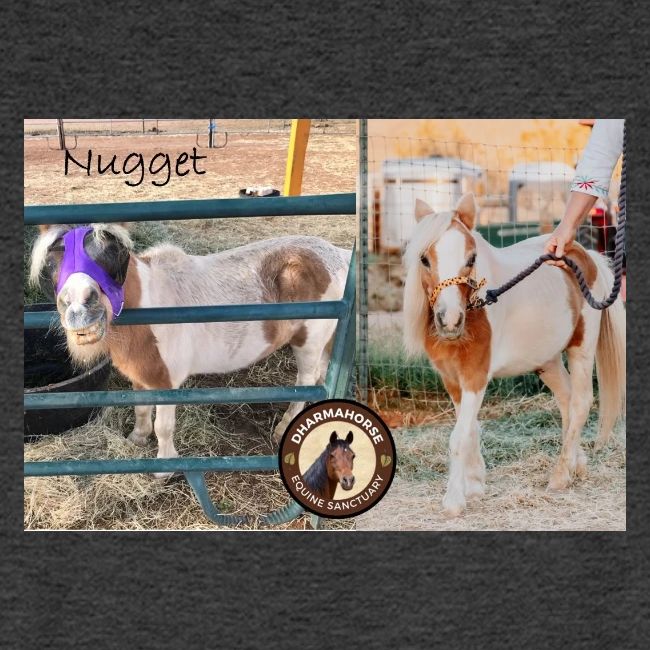 Nugget