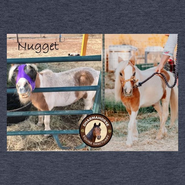 Nugget