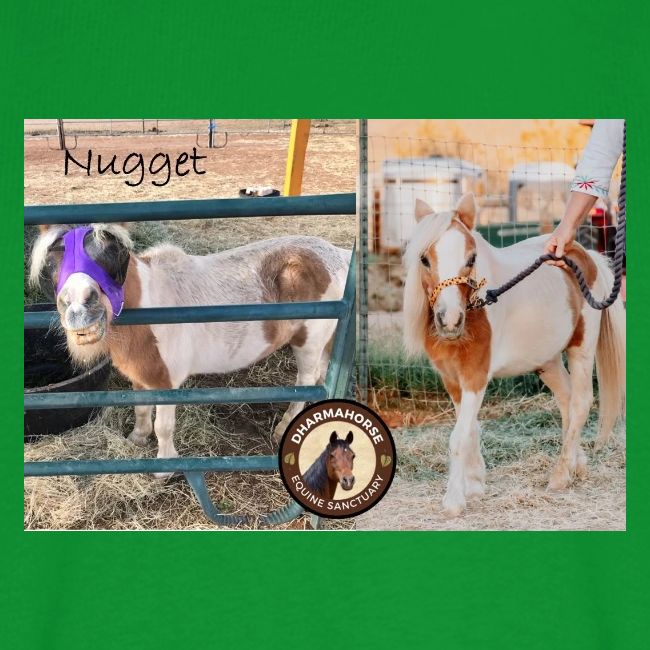 Nugget