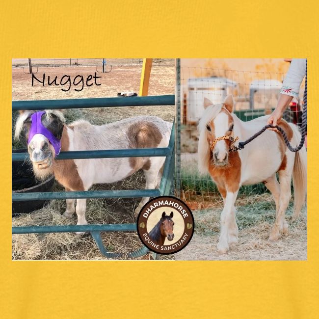 Nugget