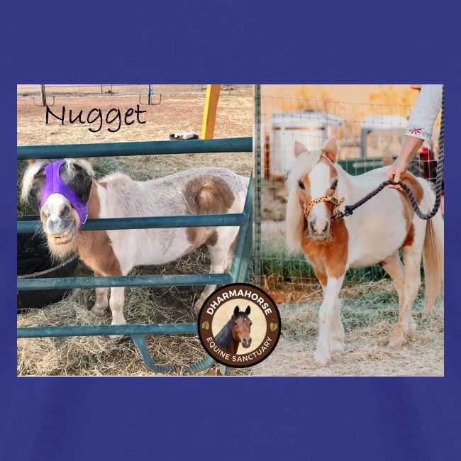 Nugget