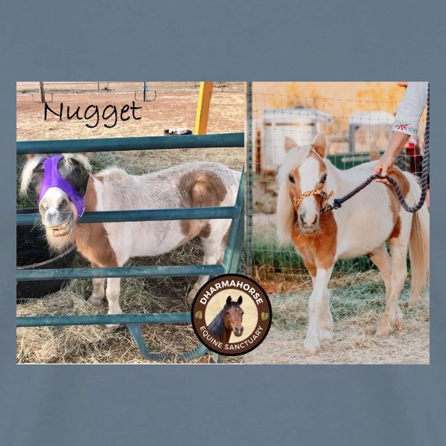 Nugget