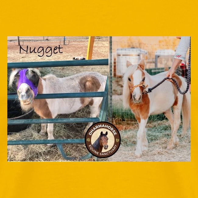 Nugget