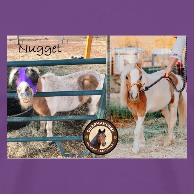 Nugget