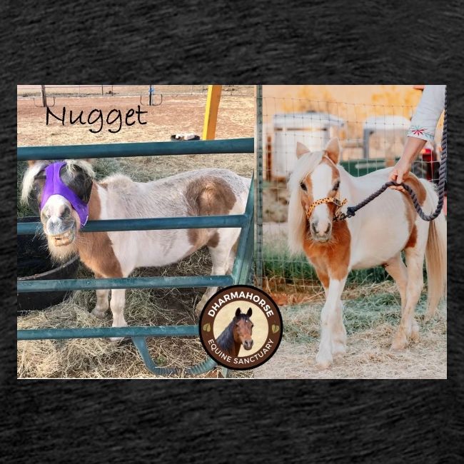 Nugget