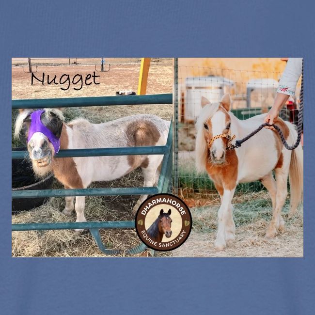 Nugget