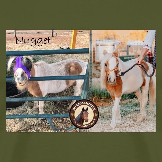 Nugget