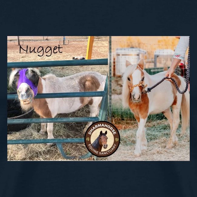 Nugget