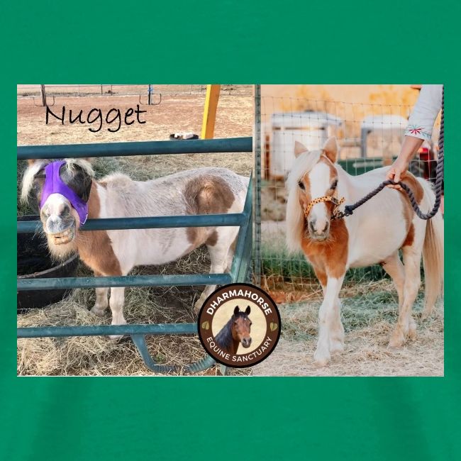 Nugget