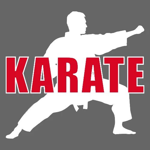 Karate Focus - Men's Premium T-Shirt