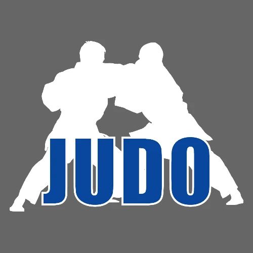Judo Balance - Men's Premium T-Shirt