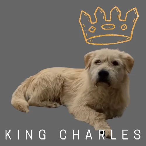 King Charles Tee - Men's Premium T-Shirt