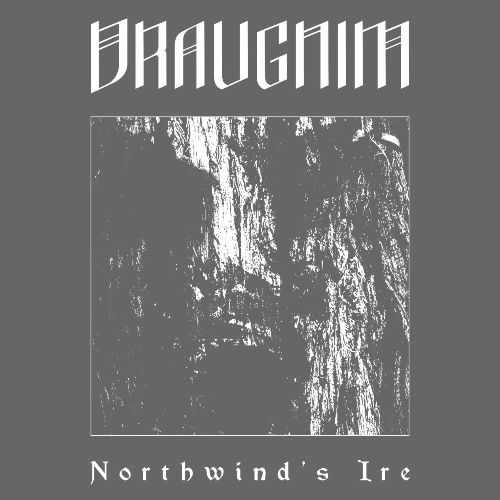 Northwind's Ire - Men's Premium T-Shirt