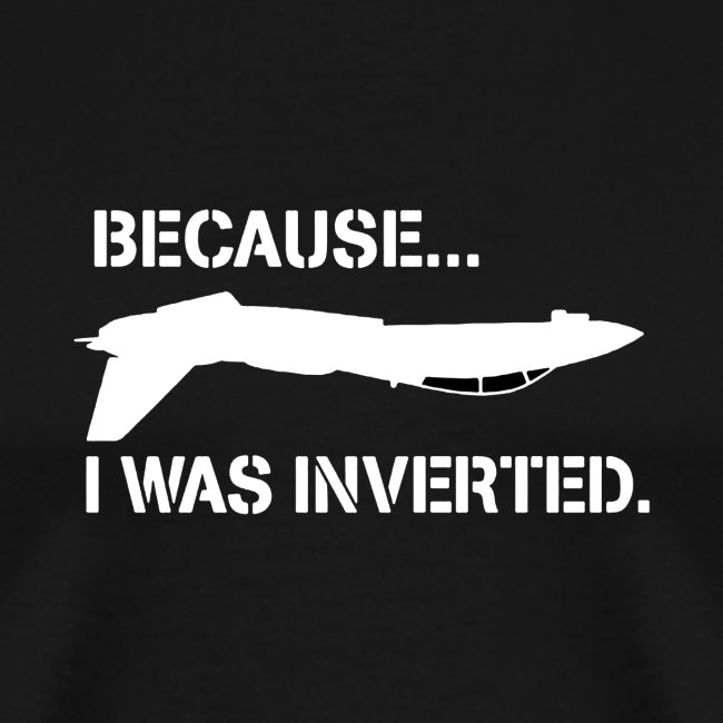 Because I Was Inverted merch