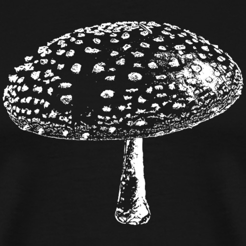 Fly agaric mushrooms autumn - Men's Premium T-Shirt
