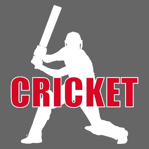 Power Play Cricket - Men's Premium T-Shirt