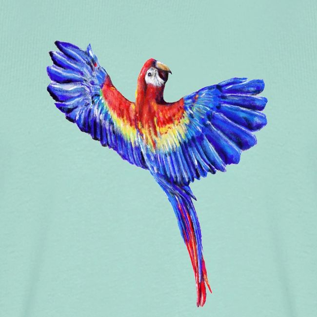 Scarlet macaw parrot