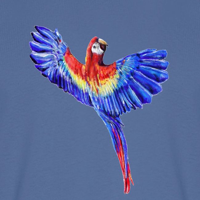 Scarlet macaw parrot