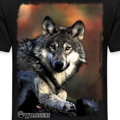 Wolf s Gaze - Men's Premium T-Shirt
