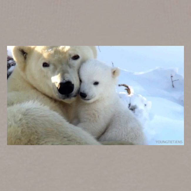 polarbearhug