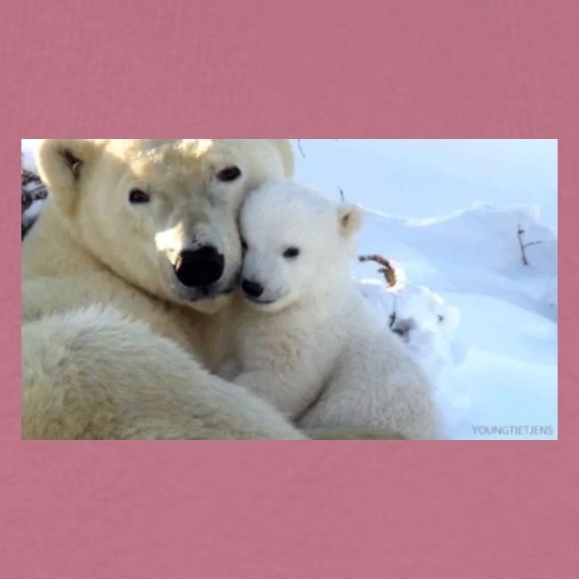 polarbearhug
