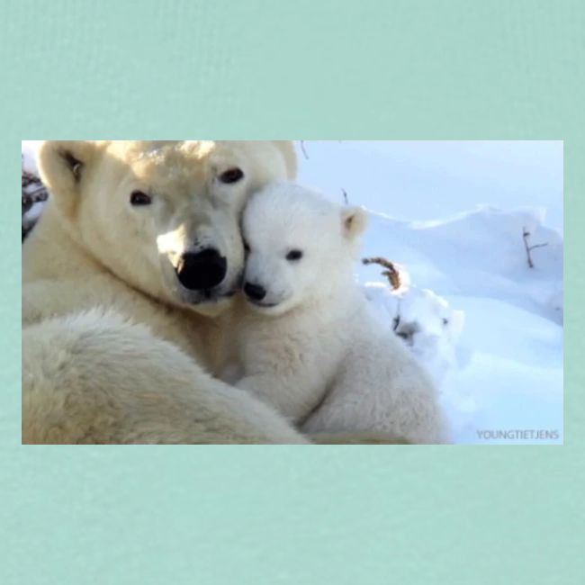 polarbearhug