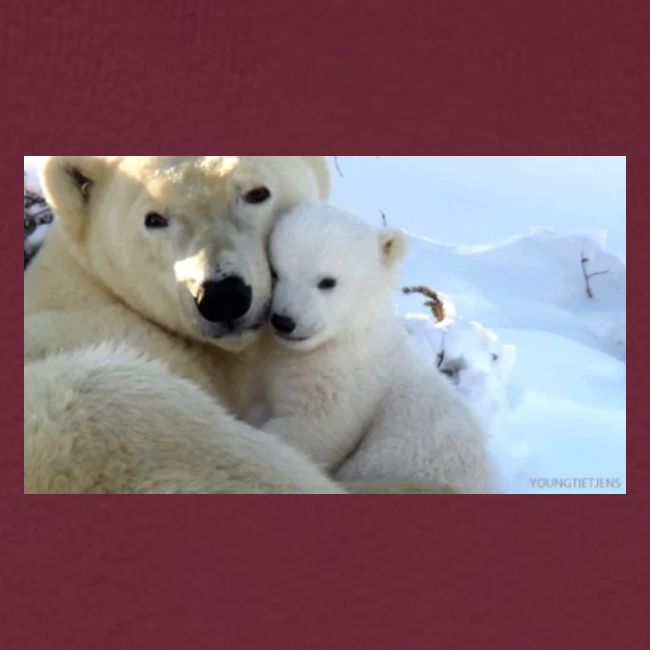 polarbearhug