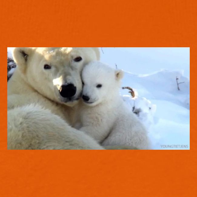 polarbearhug