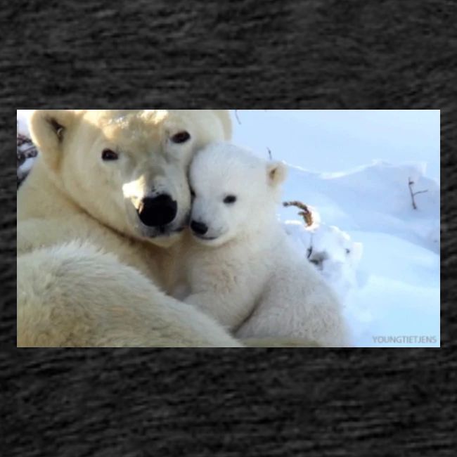 polarbearhug